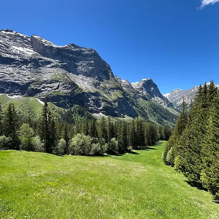 Horská chata Les 3 Marmottes, 12 Personnes, Jacuzzi